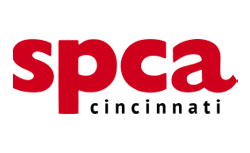 spca logo